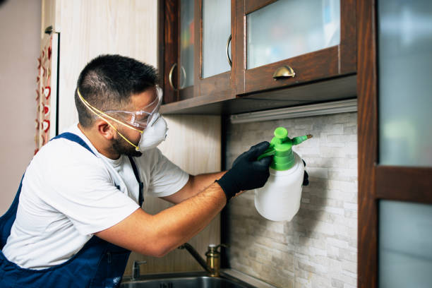 Wildlife Control Services in Queens, NY