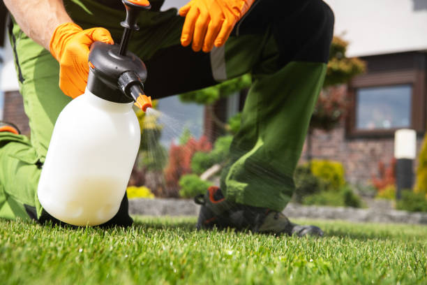 Queens, NY Pest Control Company