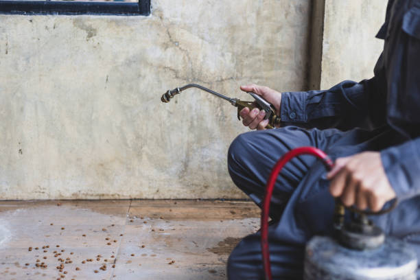 Best Affordable Exterminators  in Queens, NY
